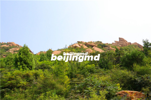 九公山陵园功泽园的墓地多少钱一块？