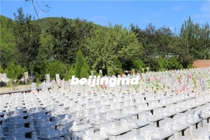 墓地的使用周期为什么只有20年？20年后要缴纳多少的管理费？