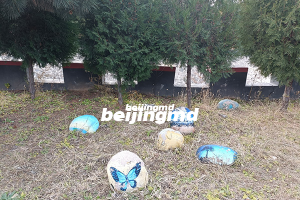 愿更多青年学子选择殡葬行业