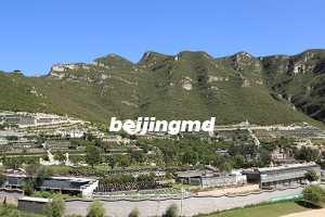 北京九公山长城纪念林购墓班车电话如何预约？