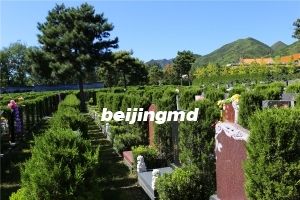 三河燕郊灵山宝塔陵园墓地价格多少