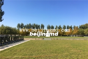陵园环境