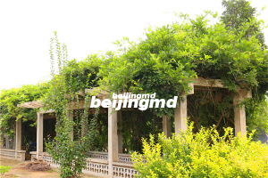 在天寿陵园买家族墓要多少钱？天寿陵园家族墓介绍