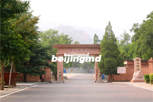 北京十三陵景仰园陵园树葬卧碑多少钱一块？