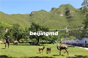 北京市通州区通惠陵园好不好？陵园业务处联系电话多少？