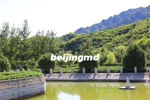 十三陵景仰园清明扫墓班车情况