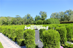 北京墓地推荐榜第四名灵山宝塔陵园