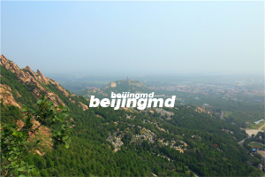 中华永久陵园有5万以内的墓型吗？