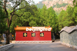 未来中国殡葬服务业的趋势