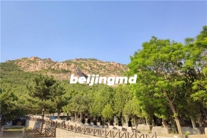 门头沟万佛华侨陵园墓地大概多少钱？万佛园华侨陵园有班车吗？