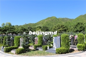 静安墓园还有墓地吗