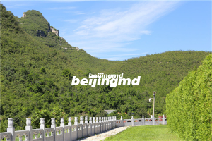 灵山宝塔陵园价格一览