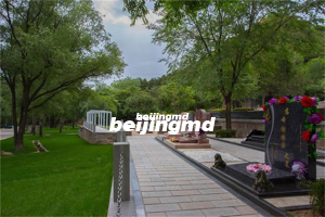 天寿陵园举行缅怀革命先烈 致敬建党百年活动