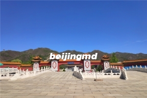 金山陵园地址在哪里啊