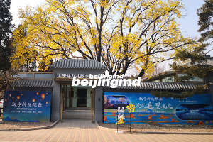 殡葬单位的规范化管理对殡葬行业影响深远