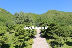 北京太子峪陵园墓位价格