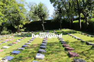 烟台市率先推出全新“智慧殡葬公共服务平台”