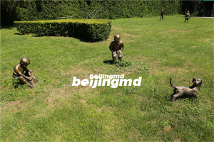 北京九里山公墓二区风水怎么样？