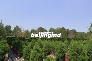 中国殡葬协会公墓工作交流会圆满落幕