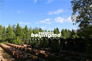 北京九里山公墓二区环境优美吗，墓型有优惠吗？
