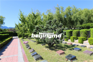 北京九里山公墓二区价格一览及墓地介绍！