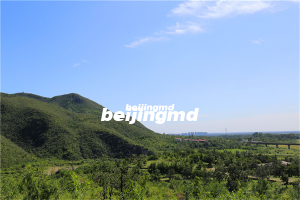 桃峰陵园有多少在售碑型？桃峰陵园的碑型价格