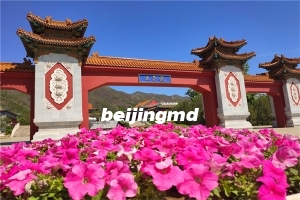 外侨公墓还有位置吗？外侨公墓墓地价格多少钱？