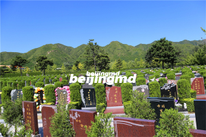 天寿陵园单穴墓地多少钱？