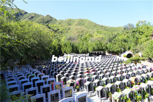 昌平区的墓地选南口镇天寿陵园还是选十三陵镇景仰园