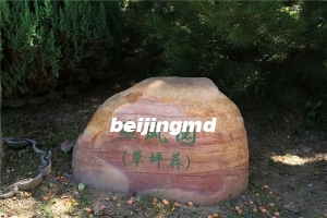 天寿陵园好还是万安公墓好？