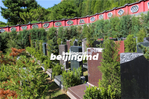 英国牛津拟推出节省空间的“共享墓地”