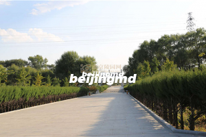 天寿陵园这么贵有什么优势吗？