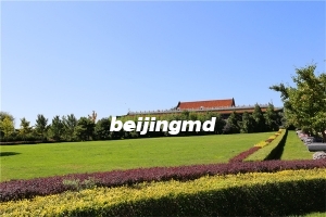 静安墓园的价格是多少？静安墓园墓碑多吗？