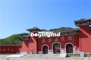 九公山长城纪念林生态树葬多少钱