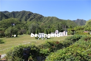 景仰园最新墓地价格多少？有景仰园陵园官网联系电话吗？