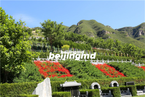 截止2023上半年节地生态安葬比例将达50%