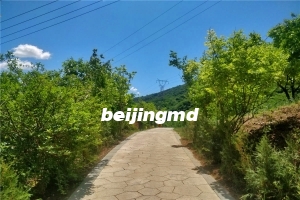 八达岭陵园怎么预约参观