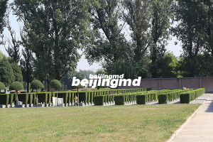 民政部召开殡葬信息化建设工作视频会议