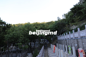 天寿陵园和九公山纪念林，哪里有家族墓可以选择？