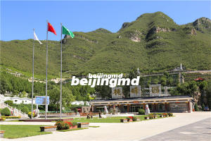 我国推进殡葬改革取得新成效