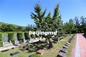中华永久陵园花坛价格多少