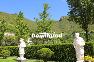 北京八宝山双人墓地价格表的情况是怎样的？八宝山公墓怎么样？