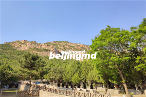 北京天寿墓地价格怎么样？价格贵吗？