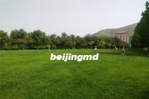 太子峪陵园圣福园价格