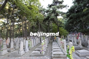 北京陵园公墓排名怎么样？北京墓地前十名有哪些陵园