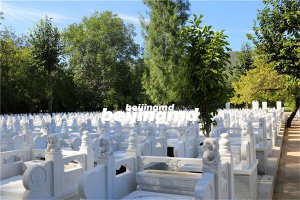 湖南省殡葬事业发展规划：迈向“十四五”新征程