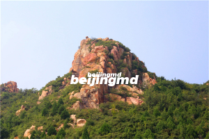 珠海殡葬服务中心提出五点要求