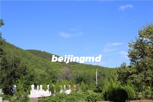 北京朝阳陵园2021年最新墓地价格是多少？