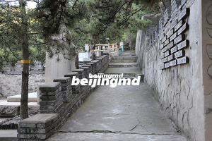 生态葬陵园，怀思堂和九公山纪念林怎么选？