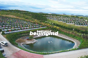 北京周边有哪些陵园墓地？北京周边墓地价格一览？